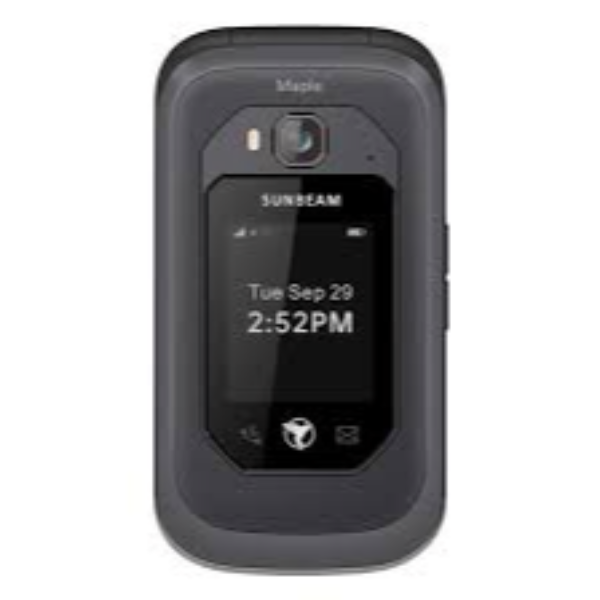 sunbeam F1 pro